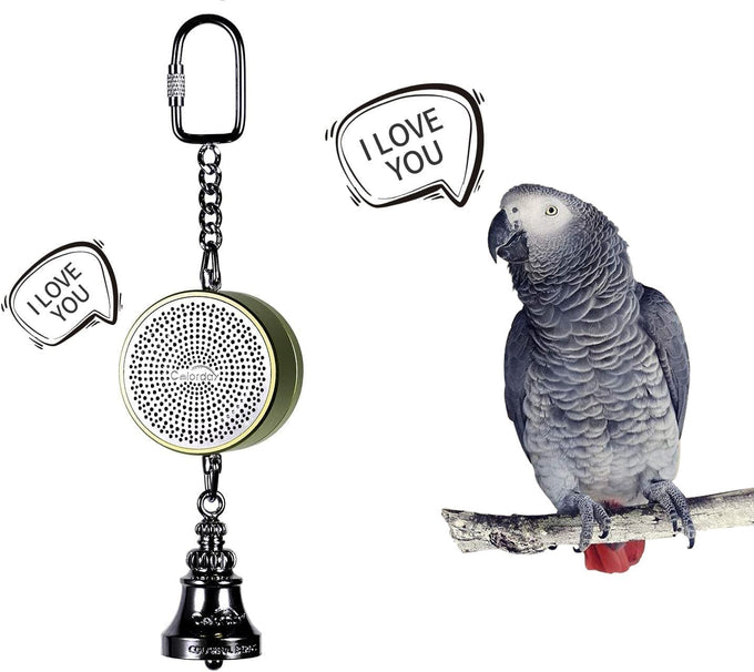 Colorday bird talking coach & interactive voice bell for parakeet parrots, easy voice recording & durable metal construction