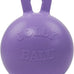 Jolly Pets Tug-n-Toss heavy duty dog toy ball with handle, 8 inches, large size, blueberry color