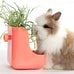Premium Timothy Hay 2.2LBS 2 Pack Dust Free Natural Fresh Hay for Rabbits Tortoise Guinea Pig Chinchilla