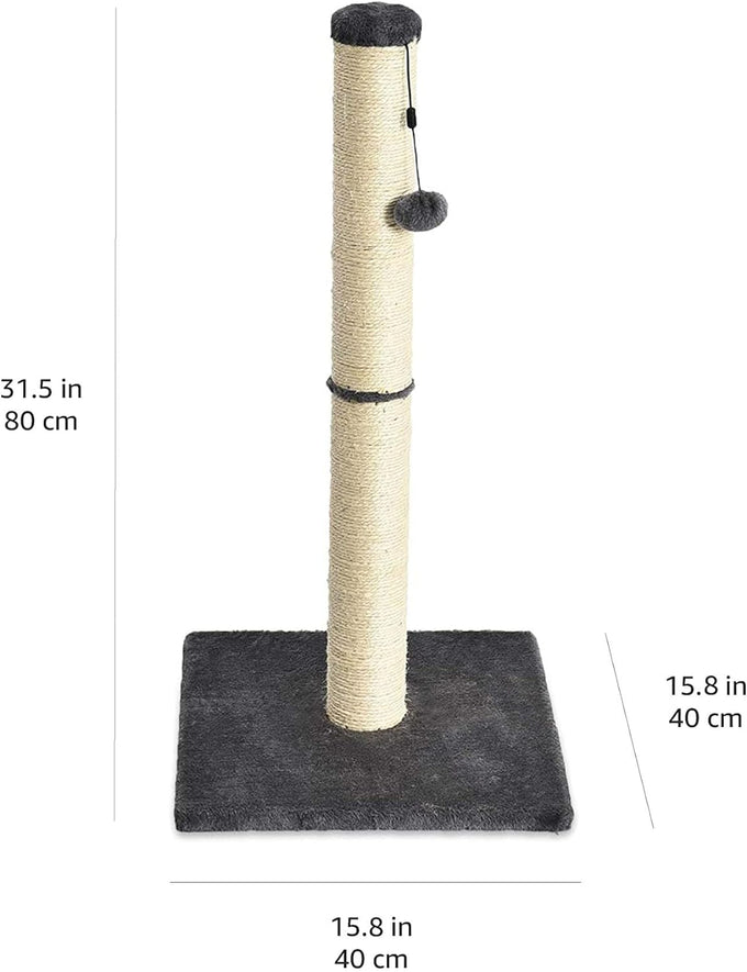 Amazon basics grey cat scratching post for indoor cats and kittens with dangling ball toy medium height
