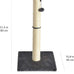 Amazon basics grey cat scratching post for indoor cats and kittens with dangling ball toy medium height