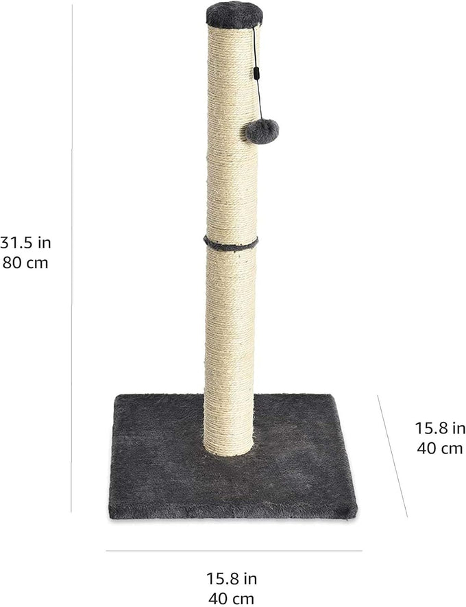 Amazon basics grey cat scratching post for indoor cats and kittens with dangling ball toy medium height