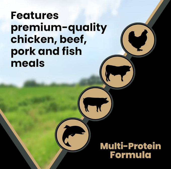 VICTOR Grain-Free High-Protein Dog Food, 42% Protein, 5 lb