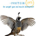 Manna Pro 24% Protein Crumbles for Chickens, Ducks, Gamebirds & Turkeys - Healthy Complete Diet, Vitamins & Minerals, 5 lb Bag