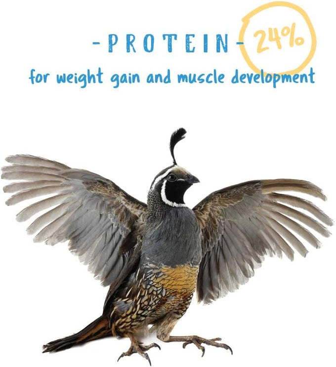 Manna Pro 24% Protein Crumbles for Chickens, Ducks, Gamebirds & Turkeys - Healthy Complete Diet, Vitamins & Minerals, 5 lb Bag