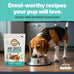 Slow Baked & Air Dried Real Salmon Dog Food - Grain Free, High Protein, Natural Nutrition for All Life Stages - 1 lb Bag