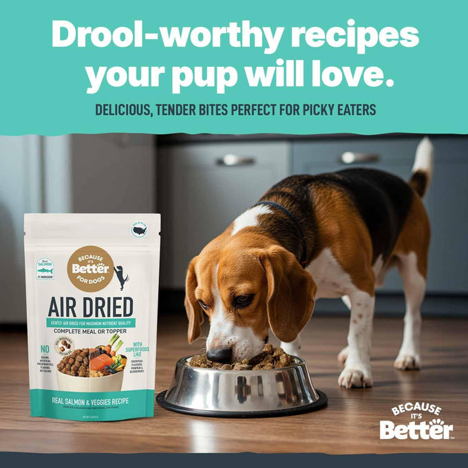Slow Baked & Air Dried Real Salmon Dog Food - Grain Free, High Protein, Natural Nutrition for All Life Stages - 1 lb Bag