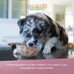 Evanger's Heritage Classic Beef with Chicken & Liver Wet Dog Food
