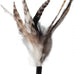 No Chemical Dyeing Cat Feather Toys - Includes Cat Wand and Natural Feather Refills for Indoor Cats - Safe and Eco-Friendly