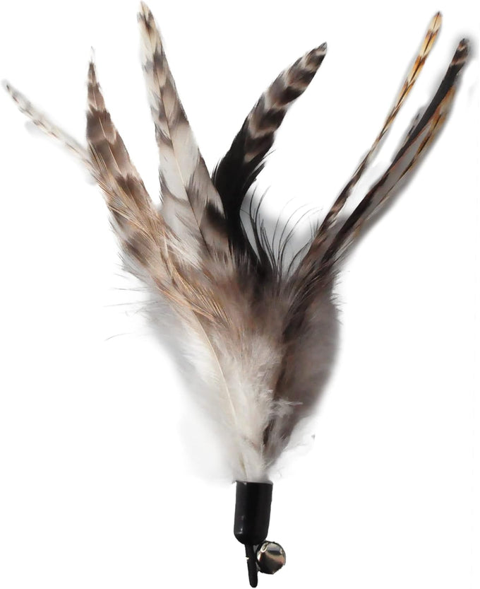 No Chemical Dyeing Cat Feather Toys - Includes Cat Wand and Natural Feather Refills for Indoor Cats - Safe and Eco-Friendly