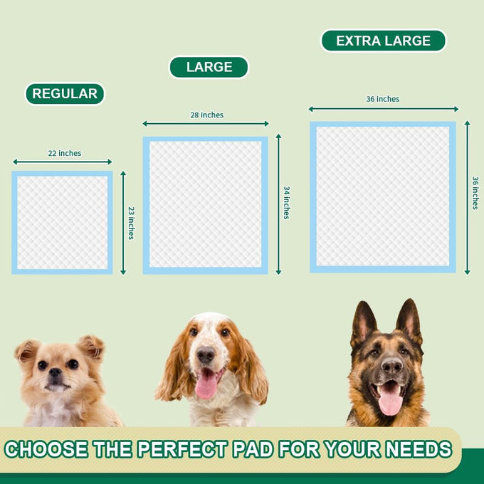 Immcute puppy pads 6-layer leak-proof 100 count 22x23 super absorbent pet training pads