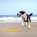 eastblue rubber puppy chew ball for medium and large breed aggressive chewers with squeaker