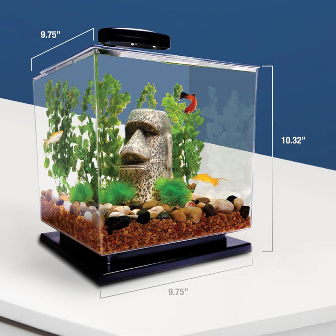 Tetra 3-gallon cube-shaped aquarium kit with pedestal base, LED light, and filter for small tropical fish