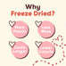 Pupford freeze-dried beef liver training treats, 475+ three-ingredient bites, 4 oz, pet treats for dogs & puppies