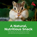 Lyric Wildlife Critter Food & Wild Bird Seed, 10 lb Hand-Crafted Mix, Nutrient-Rich for Deer, Squirrels, Turkeys & Rabbits