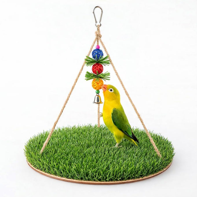 Bird Swing with Wooden Perch Stand for Parakeets, Cockatiels, Conures, Adjustable Rope and Rattan Chew Balls Cage Accessory