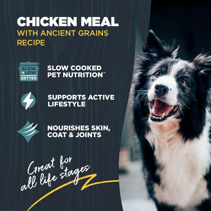 Blackwood 4.5 Pound Bag Puppy & Performance Dry Dog Food with Chicken Meal and Ancient Grains