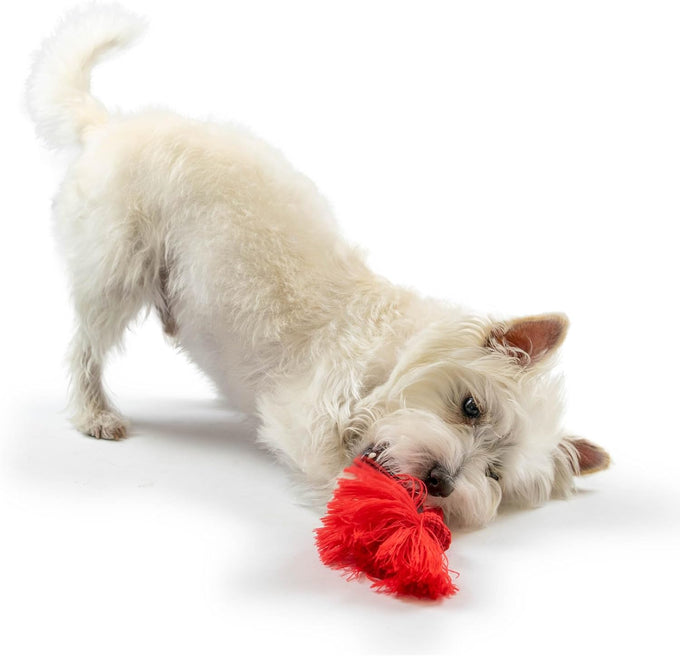 Playology dog toys Dri-Tech rope tug of war dog toy for tough chewers medium size beef scented