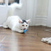 petmate catmate interactive cat toys cat crazies multi pack 4 count durable plastic