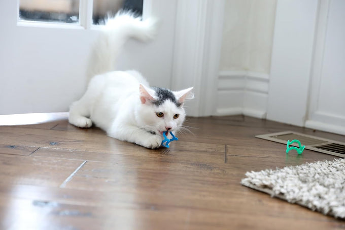 petmate catmate interactive cat toys cat crazies multi pack 4 count durable plastic