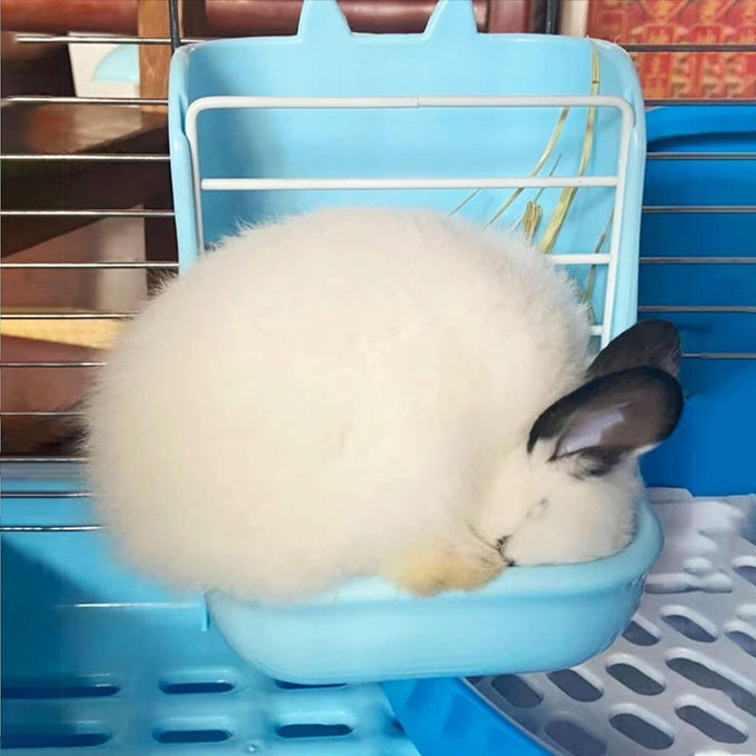 hamiledyi 2 in 1 hay feeder rack for rabbits guinea pigs chinchillas pink blue