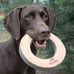 Tall Tails 7" Natural Leather Fetch Toy for Medium and Large Dogs
