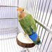 Natural wood 9-piece birdcage toy set with coconut hideaway, ladder, bird perch stand, and rope bungee toys for parrots and cockatiels