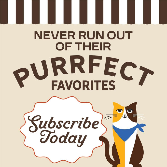 Merrick Purrfect Bistro Savory Salmon and Sweet Potato Recipe Adult Natural Wet Cat Food Cans, 24-Pack, 3 oz.