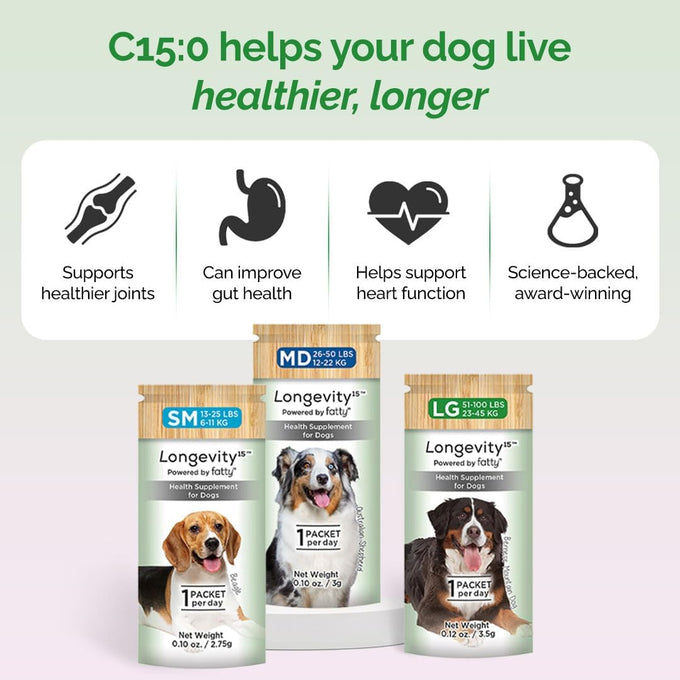 yummy comb longevity15 c15:0 fatty acid health supplement for medium dogs healthy pet supply