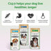 yummy comb longevity15 c15:0 fatty acid health supplement for medium dogs healthy pet supply