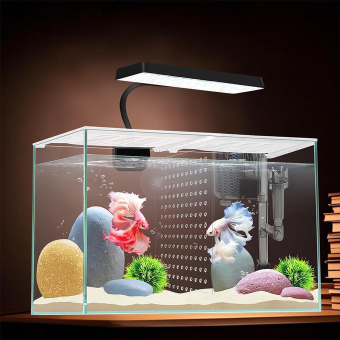12.6" L 3-gallon nano glass aquarium with separator plate, LED light, filter for betta, multi-functional square fish tank, white 4mm glass