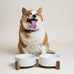 Le Tauci Acacia Wood Stand Dog Bowl Set with 1.5-Cup Ceramic Bowls for Small Dogs and Cats, Non-Slip Base