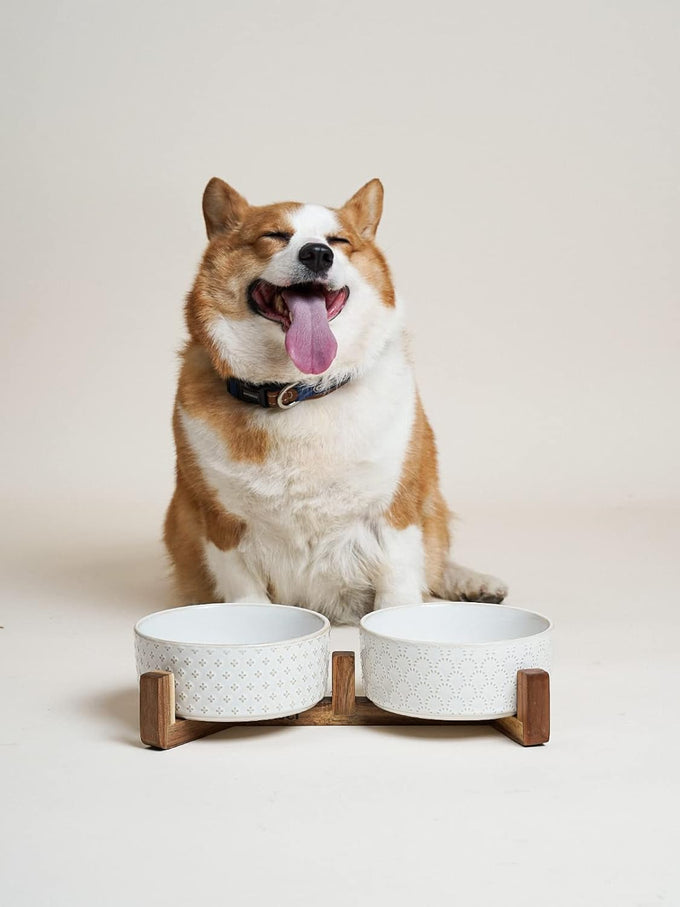 Le Tauci Acacia Wood Stand Dog Bowl Set with 1.5-Cup Ceramic Bowls for Small Dogs and Cats, Non-Slip Base