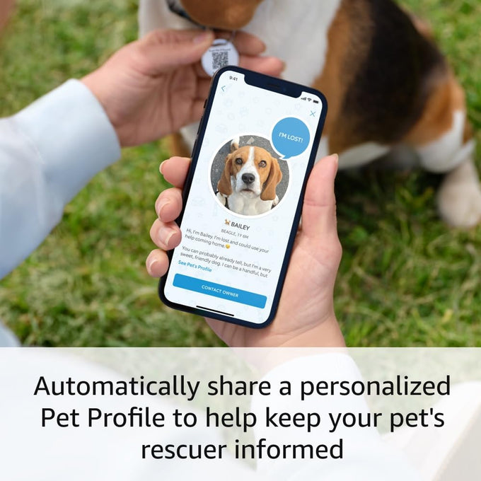 Ring Easy-to-use Pet Tag with QR Code for Real-time Scan Alerts, Shareable Pet Profile, No Subscription or Fees