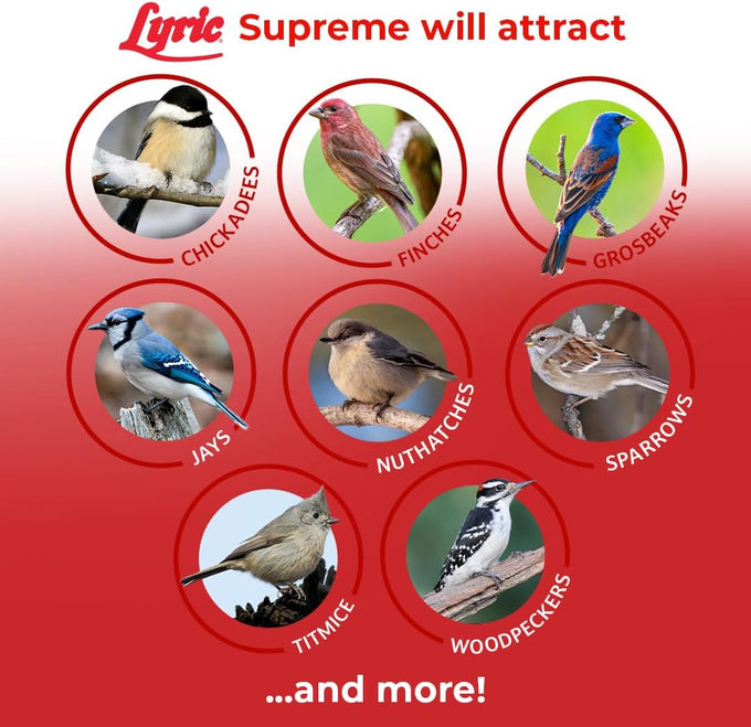 lyric-supreme-4-5-lb-wild-bird-food-mix-with-nuts-sunflower-seeds-for-outside-feeders