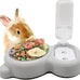 tfwadmx pet double dishes rabbit food water dispenser set with cute stainless steel bowl for kitten puppy bunny