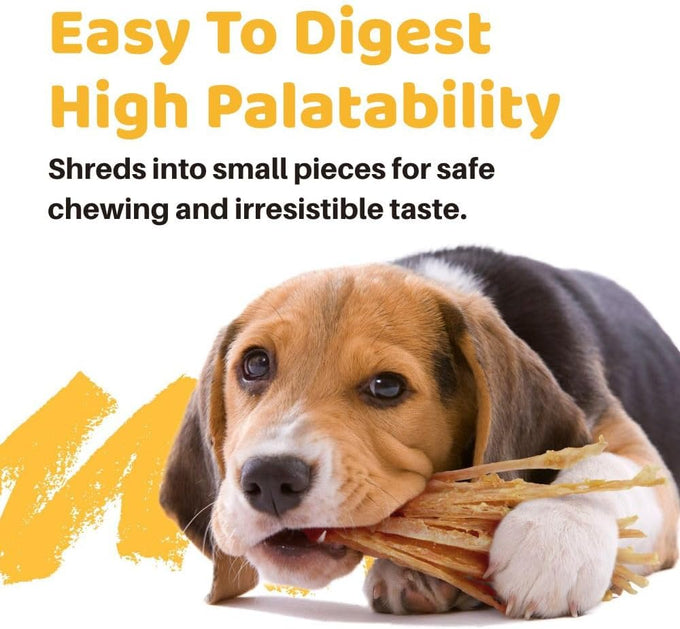 iPaw Single Protein Turkey Tendons for Dogs, Hypoallergenic, All Natural Puppy Chews, Large, Rawhide Alternative, Human Grade