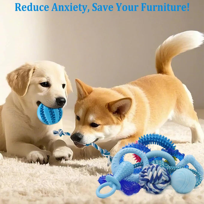 Beiker 20 Pack Blue Rubber Puppy Chew Toys with Teething Rings and Ropes for Small Breed Dogs