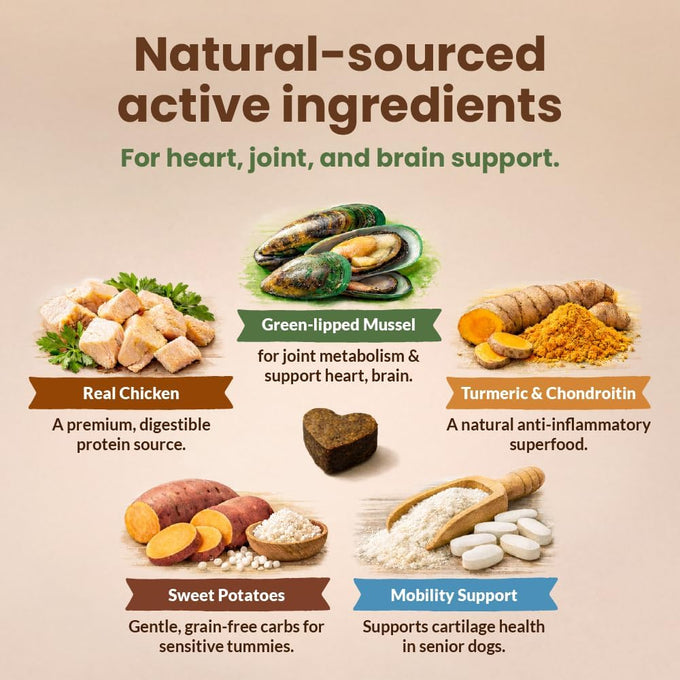 Get Naked Senior Health Soft Dog Treats with Real Chicken for Toothless Dogs