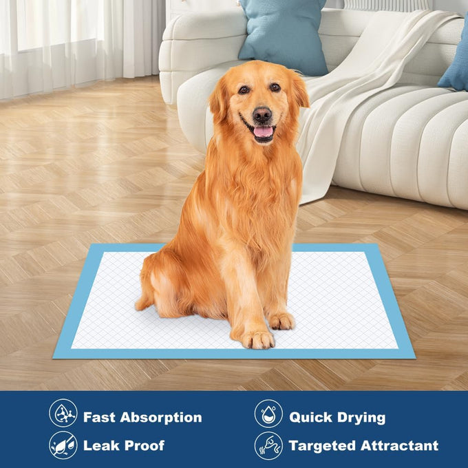 Quilocare 50-Count XL Disposable Dog Pee Pads, 28" x 34", Super Absorbent Leakproof Quick Drying Puppy Training Pads