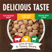 Instinct Healthy Cravings Grain-Free Wet Dog Food Topper, 12 Pouches