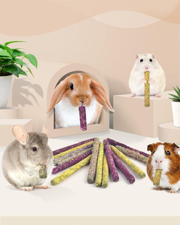Bissap 36PCS rabbit chew sticks, mixed natural flower rose chrysanthemum and forget-me-not treats for small animals molar snacks