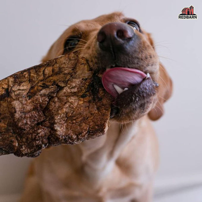 Redbarn natural beef lung chopper treats for dogs, premium made in usa, single ingredient, high protein, low fat, 9 oz bag