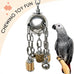 Large 304 Stainless Steel Bird Toy for Parrots, African Greys, Budgies, Lovebirds, Cockatiels, Cockatoo