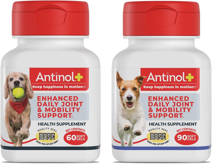 Antinol Plus Dog Joint Supplement with Green-Lipped Mussels and Krill Oil for Mobility and Health