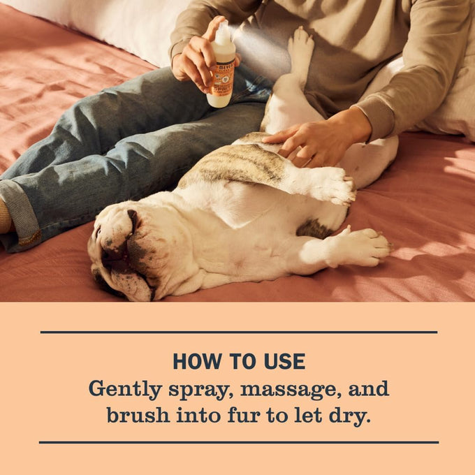 MRS. MEYER'S Clean Day Dog Deodorizing Spray, White Peach Scent, 8oz Gentle pH Balanced Formula for Dogs