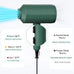 Professional dog grooming blower dryer for medium/small pets with IEC & UL certification, 2-speed and 3-heat settings