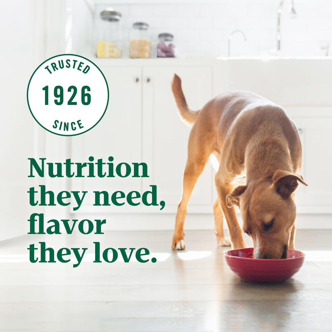 Nutro Ultra Dry Dog Food for Adult Dogs with a Trio of Proteins from Chicken, Lamb and Salmon, 4 lb. Bag