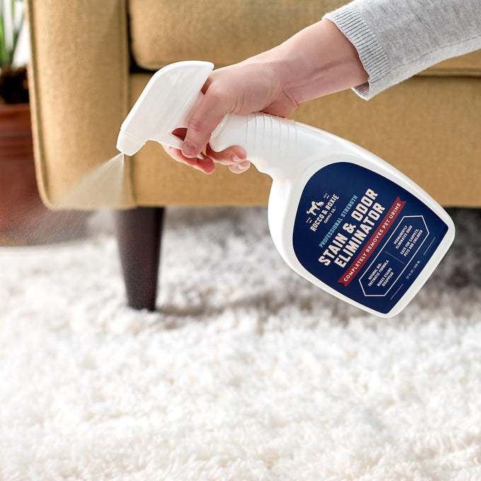 Rocco & Roxie 1-Gallon Pet Enzyme Carpet Stain & Odor Eliminator for Home, Safe for Pets & Children