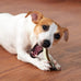 Nylon dog chew toys, 2 pack, beef flavor, indestructible, teething, bone shape, large, medium, small puppies